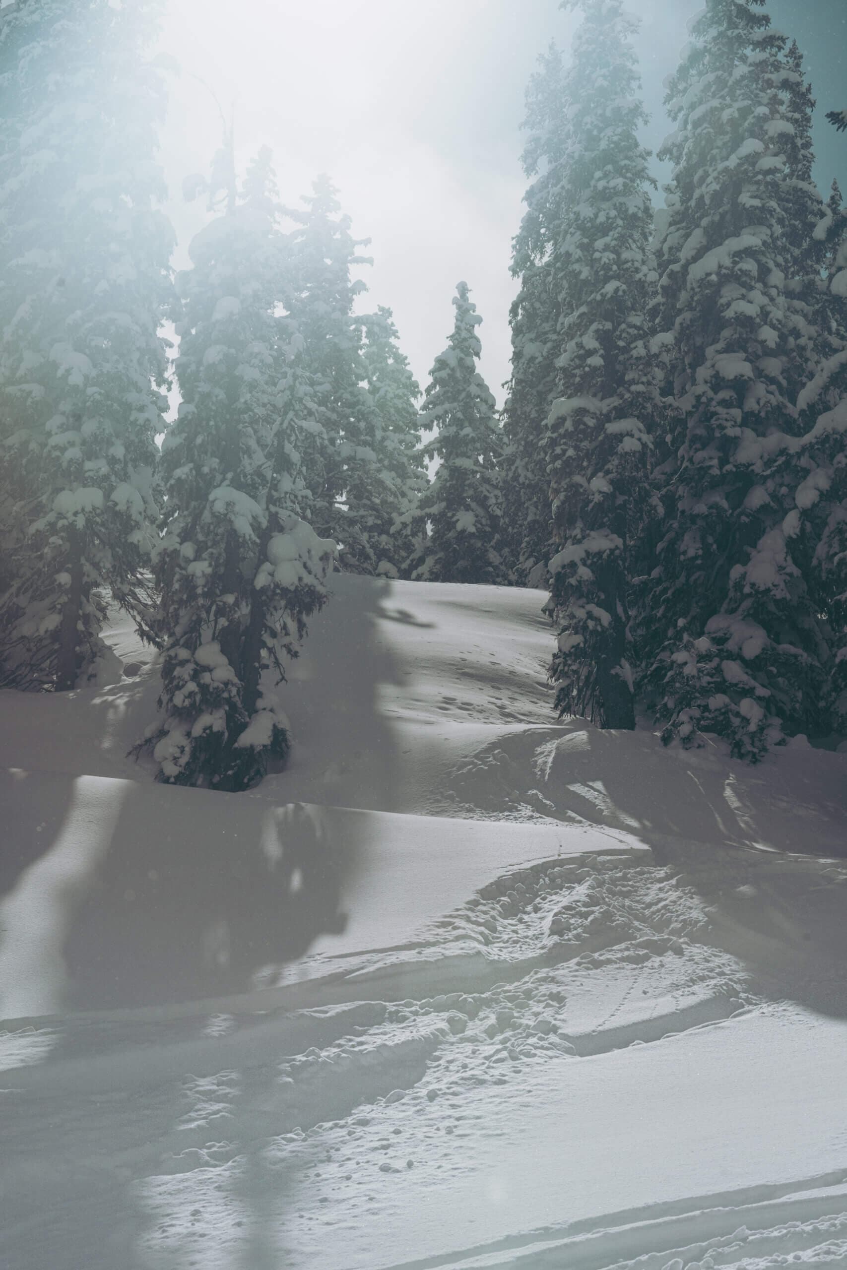 Salzburger Sonnenterrasse - Schwarzach-St. Veit-Goldegg